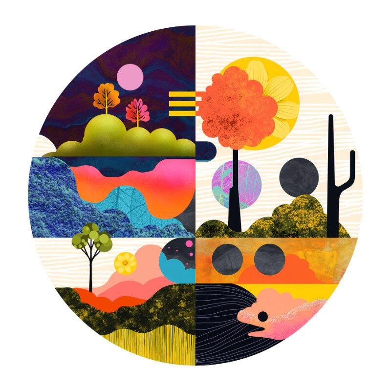 Desert Visions