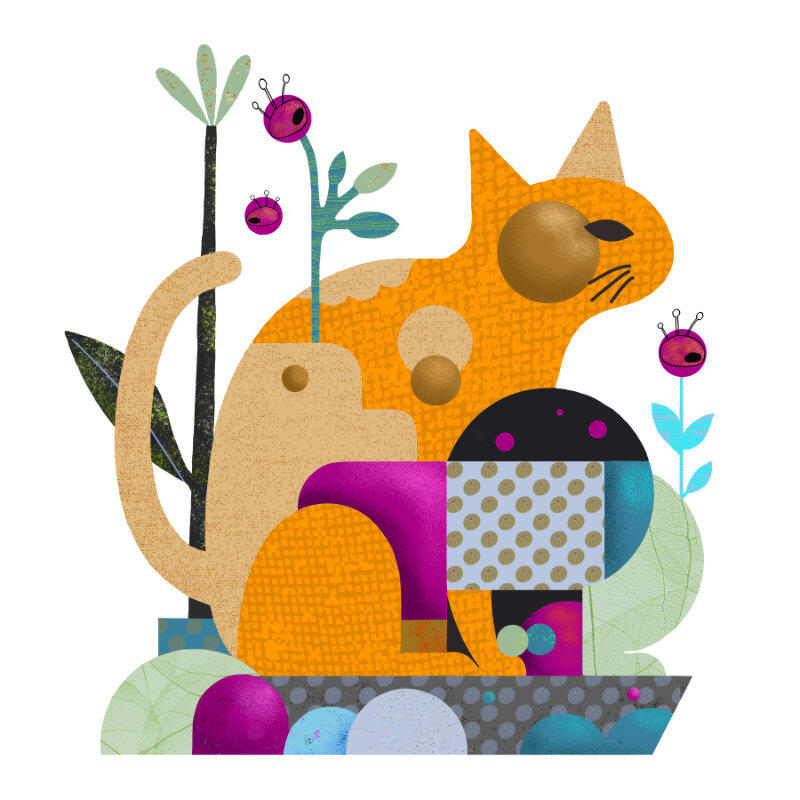 Cat Adventure