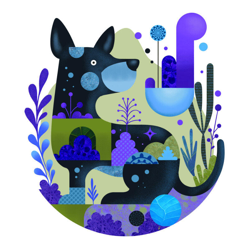 Star Dog
